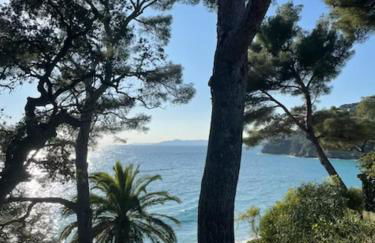 Exceptionnel studio vue mer refait à neuf - Foto 11