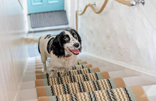 3 Bed in Bude oc-57739 - Foto 19