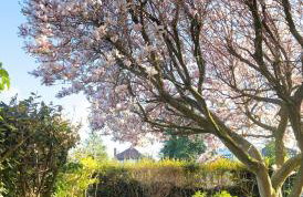 Relax in Comfort, Renovated 3 Bed Nuthall Retreat - Foto 13