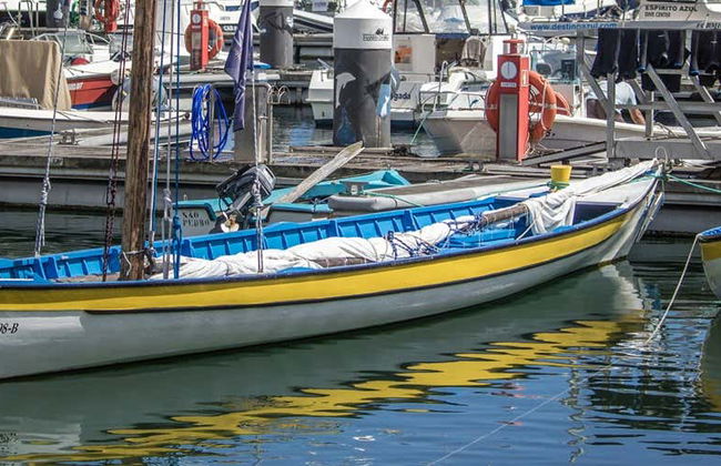 Tour del patrimonio ballenero de las Azores - Foto 6
