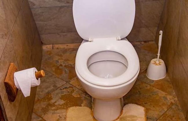 Boma Simba Lodge - Foto 19