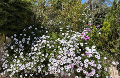 Villa aux portes de la Sainte Baume - Foto 46