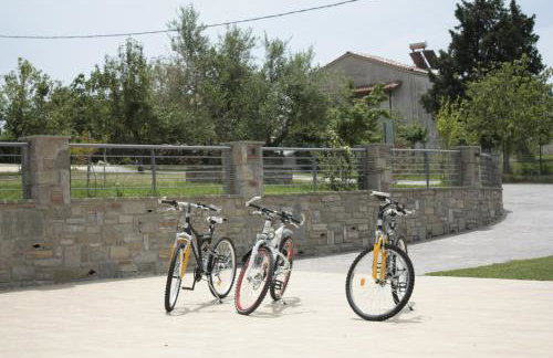 Evinos Garden - Photo 30