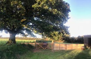 Oak Tree Lodge: Unique 2 level Shepherd's Hut: Dartmouth - Foto 24