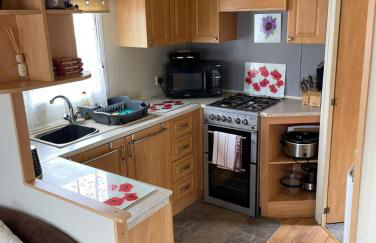 Lovley 3 bedroom Static Caravan in Clarach Bay - Foto 11