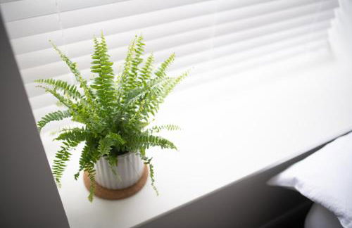 End House Inverness - Foto 34