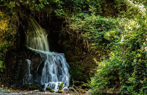 Ξενώνας Βυσωκά - Foto 58