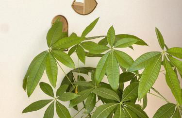 Sur le sable, face à la mer La Petite Tour - Foto 10