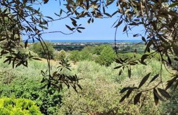 Agriturismo Villa Carducci - Foto 15