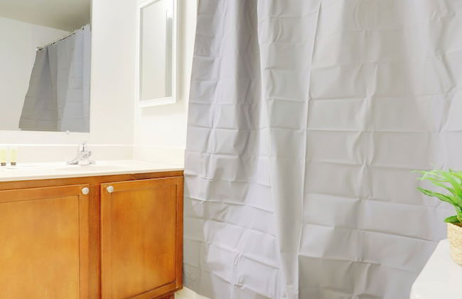 Comfortable Apt in Crystal City - Photo 21