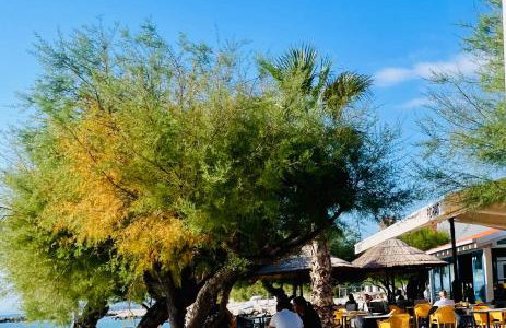 Beachview Apartments Podstrana - Photo 69