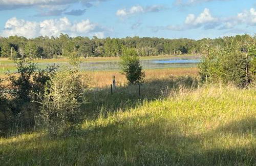 Half Moon Lake property - Foto 51