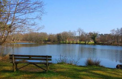 Le gite gravieres - Foto 2