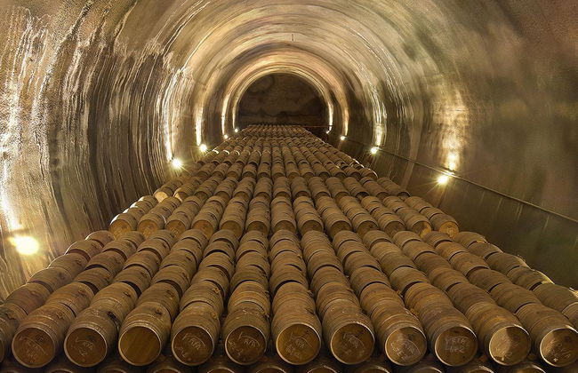 Royal Vineyard (Alava) - Photo 6