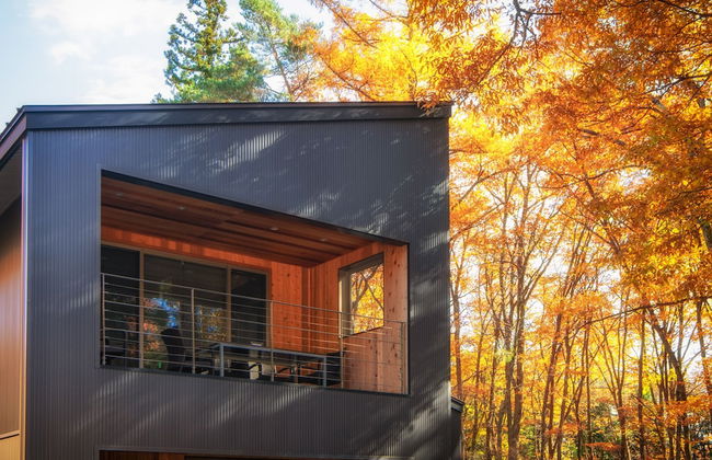 Phoenix Cocoon - Foto 19