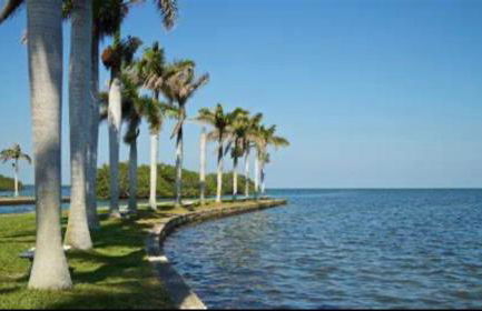 My Garden in Miami Florida - Photo 24