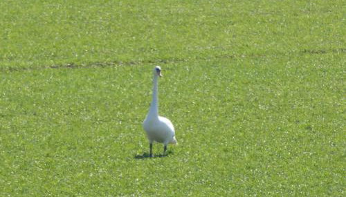 South View Country House Sleeps 12 - Hot Tub - Views - Foto 5