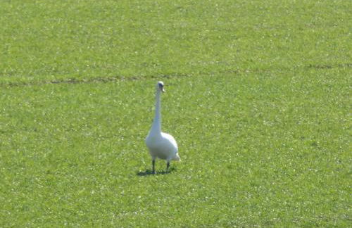 South View Country House Sleeps 12 - Hot Tub - Views - Foto 5