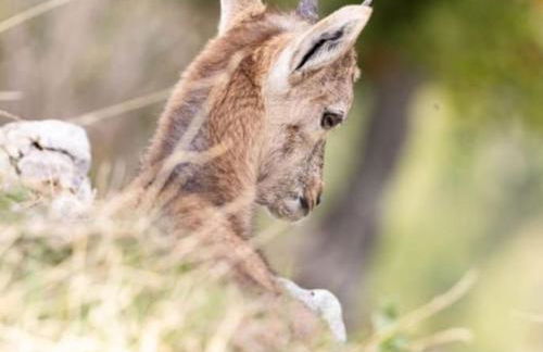 Charmant Studio idéalement situé - Foto 12