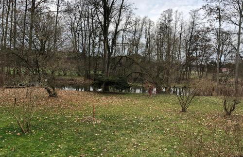 Ferienwohnung "Altes Schloss Wilhelmsfeld" - Foto 18