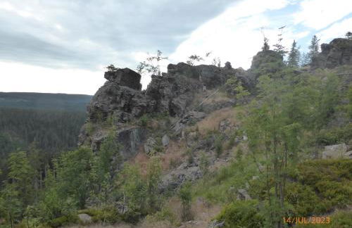 Natur pur im Erzgebirge - Foto 29