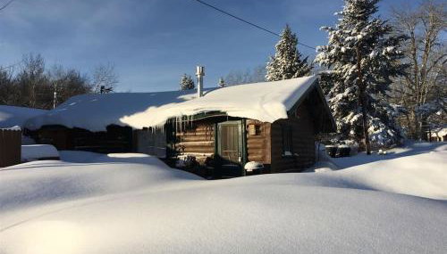 Wild Bills Cabin - Foto 2