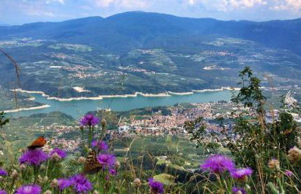 Apartment in NOVELLA 41460 - Photo 30