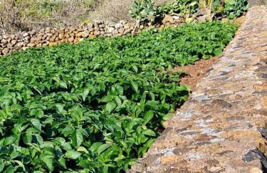 Casa Pilmar - Foto 26