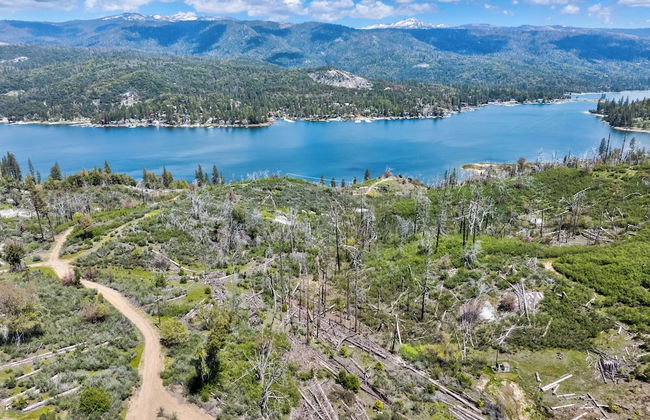 Modern 2bd Cabin With Stunning Views of Bass Lake - Foto 29