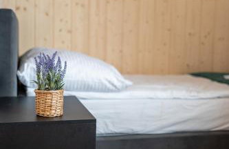 TATRZAŃSKIE TARASY Luxury Chalets - Foto 24