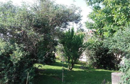 Le Pigeonnier - TG2260 - Foto 10