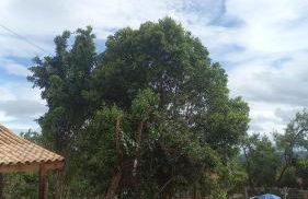 Palácio do Príncipe - Foto 24