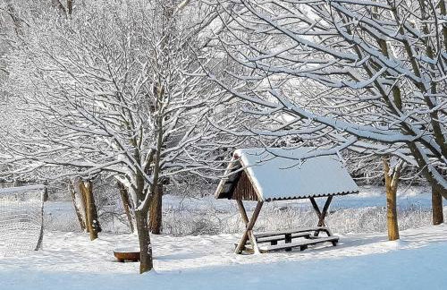 Ferienwohnung mit großem Balkon in Bömitz - Foto 21