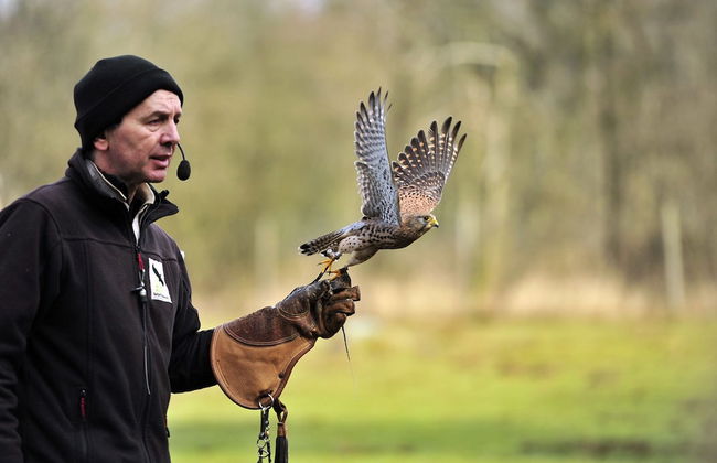 Kalkberg Ferienwohnungen - Foto 74
