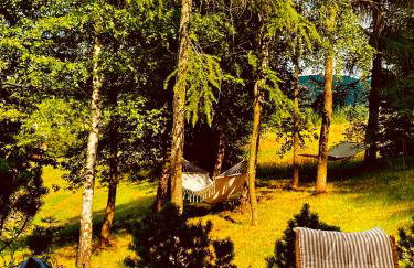 Wygórowane - nowoczesne stodoły pod Tatrami - Foto 15