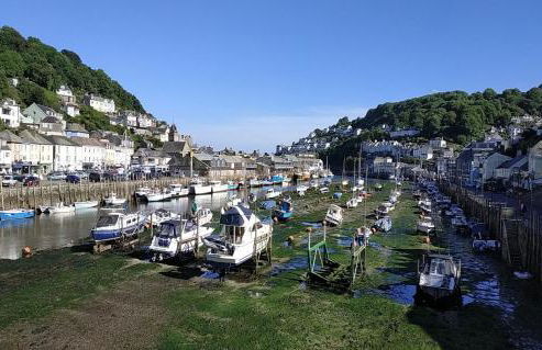 dog friendly nancecliff cottages - Foto 34