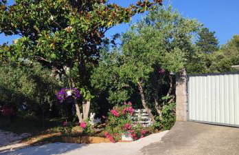 Delux apartments Villa Mihaela - Foto 57