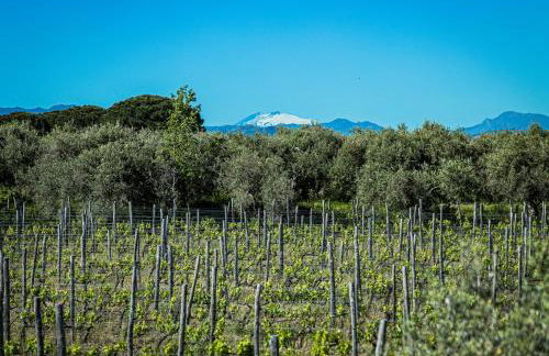 Sicilian Suite Garden - Foto 31