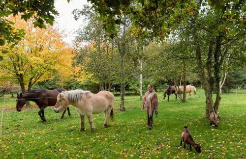 Escapade nature à deux dans un gîte cosy bordé d'un parc arboré - Foto 20