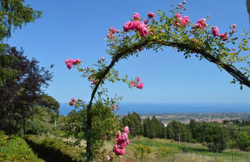 Villa Iolanda-Sive Natura Wine&House - Foto 9