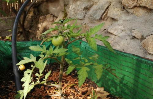 La casita Del Río. - Foto 36