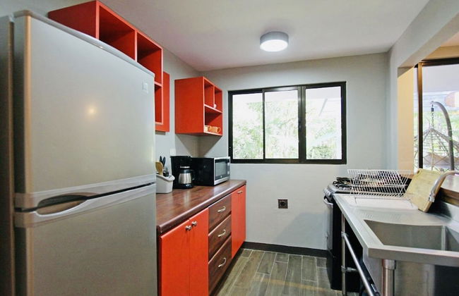 Relaxing Sound of River Birds Squirrels - Foto 12