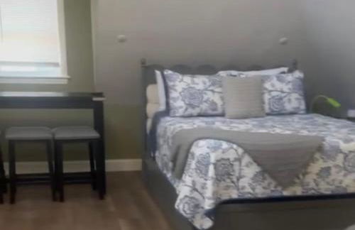 LARGE STUDIO open concept in Boston Zoo Franklin Park near - Foto 4