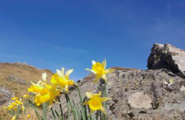T2 confortable - Piscine chauffée - Super Besse - Photo 37