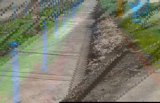 Kariat cabo - Photo 17