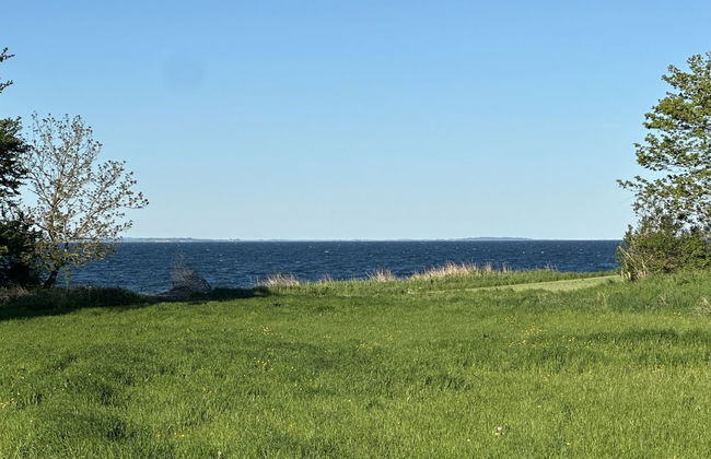 "Ady" - 150m from the sea - Foto 19