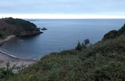 APARTAMENTO EN CANDAS CON GARAJE - Foto 12