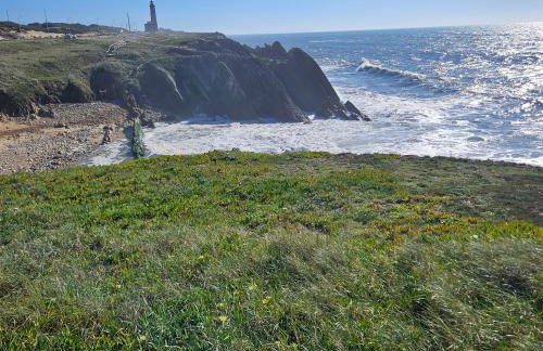 Nazare Uninterrupted Views and Sounds of the Sea - Foto 15