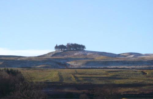 Mews Cottage - Photo 18