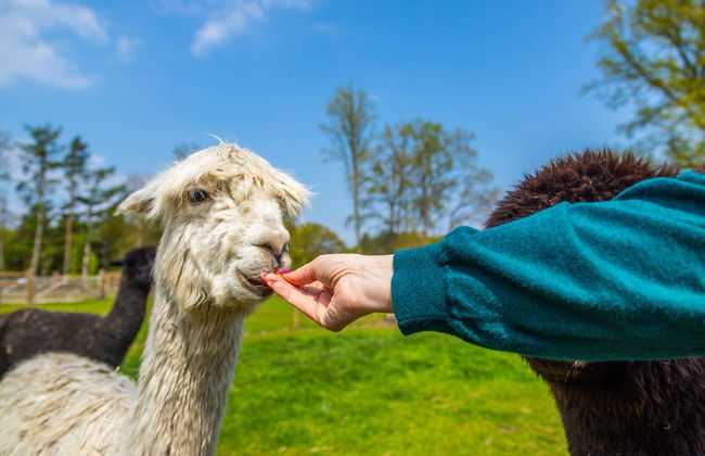 Modern Chalet With air Conditioning - Foto 55